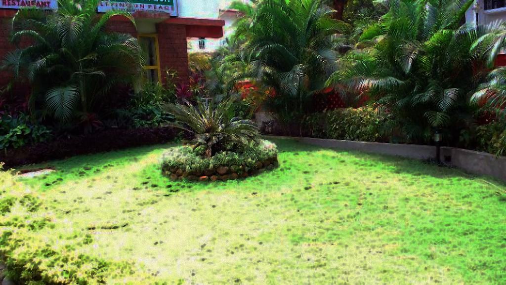 Little Italy Hotel Calangute Exterior foto